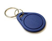 EM4200 125Khz PVC Read Only Key Fobs - Blue - Pack of 100